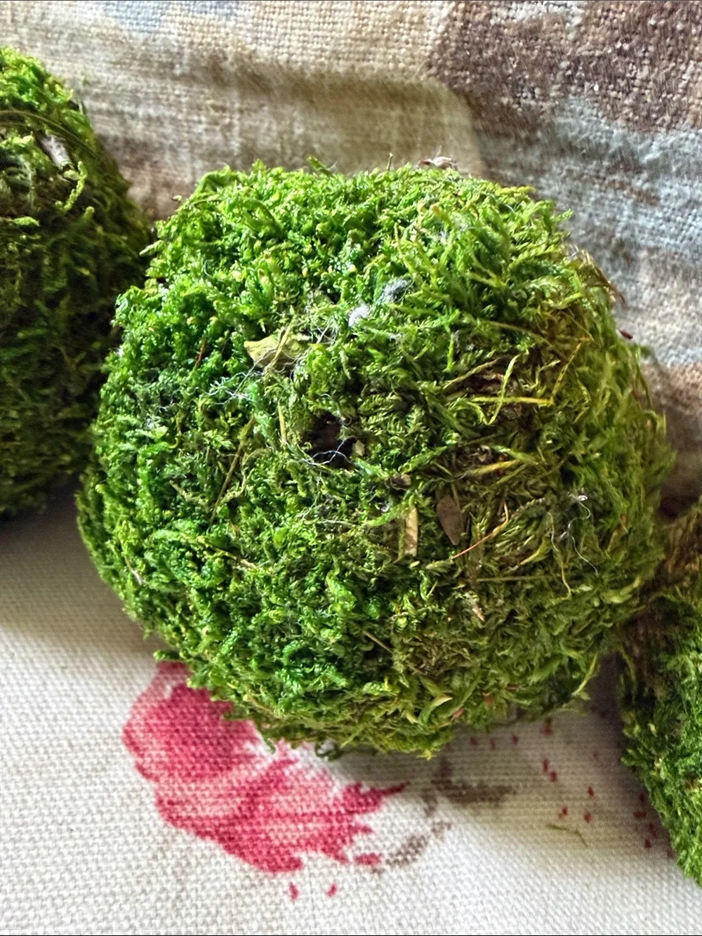 Decorative Moss Balls - Green Home Accent Set
